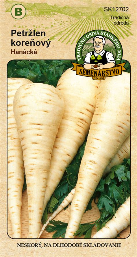 Infografika: Rôzne odrody koreňového petržlenu s obrázkami koreňov