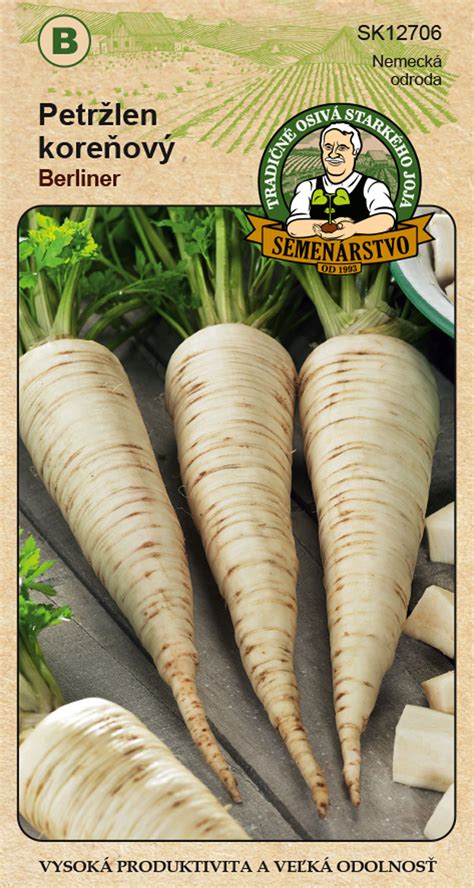 Fotografia úrody koreňového petržlenu