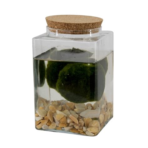 Ilustračná fotografia zlatistého prepusteného masla v sklenenej nádobe