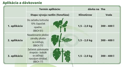 Schéma ideálneho stanovišťa pre vinič s vyznačením slnečnej expozície a ochrany pred vetrom.