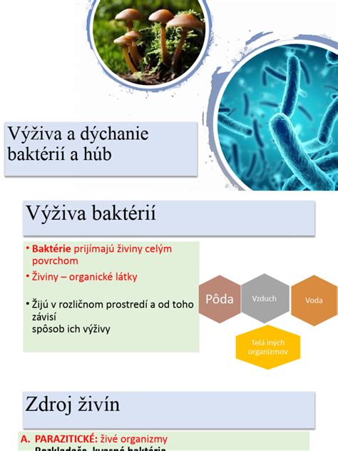 Infografika: poškodenie bunkovej štruktúry húb mrazom a rast baktérií