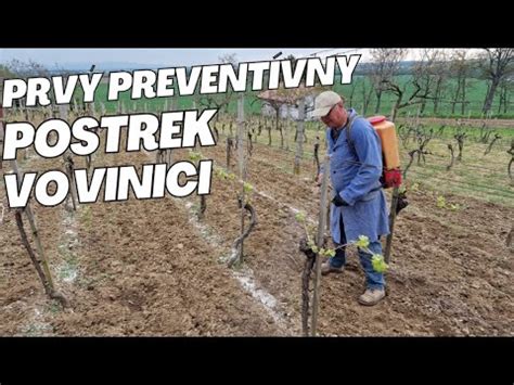 Ilustrácia aplikácie cementového postreku na murivo