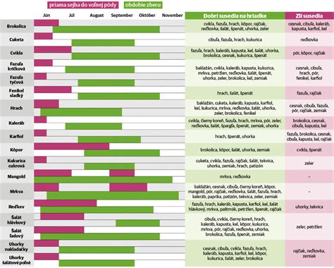 infografika znázorňujúca optimálne mesiace pre výsadbu rôznych druhov zeleniny a trvaliek podľa klimatických zón