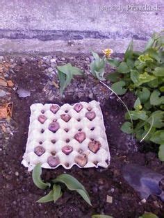 Séria fotografií zobrazujúca rôzne spôsoby využitia obalov od vajec: od predpestovania sadeníc až po organizéry na drobnosti.