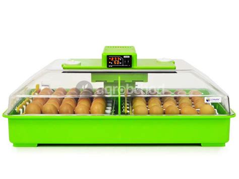 Schéma znázorňujúca postup výsevu semienok do papierového kartónu na vajcia a následné presadenie do pôdy.