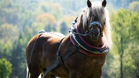 Tematické foto: Profesionálny deratizátor pri práci