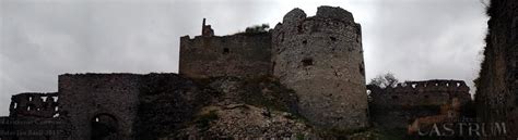 panoramatický záber rozkvitnutého cintorína pre zvieratá s náhrobnými kameňmi a zeleňou