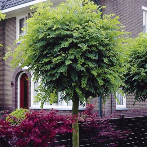 Ilustrácia rôznych typov slnečných stanovíšť v záhrade (plné slnko, polotieň, tieň)