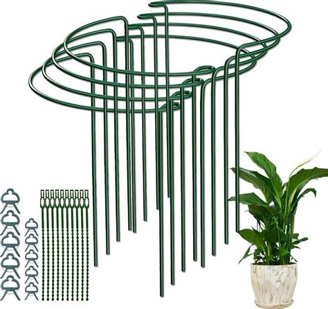 Ilustrácia podpory pre vysoké stonky gladiol