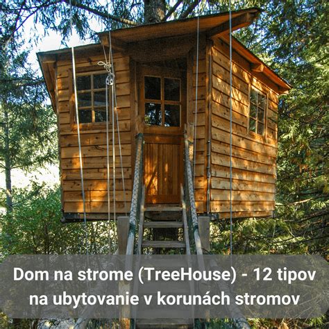 Tematická fotografia zrelého tomelu na strome