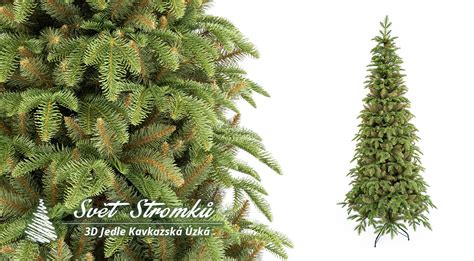 detailná fotografia 3D ihličia jedle na vetvičke, ukazujúca plastickú textúru