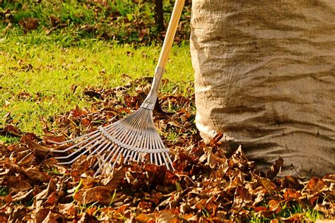 Jesenné práce v záhrade - výsadba zeleniny