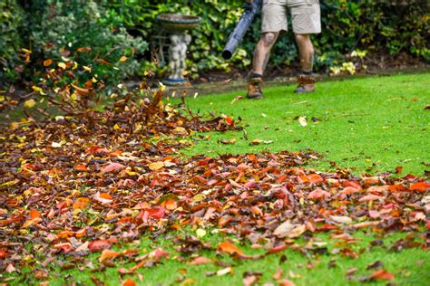 Starostlivosť o trávnik na jeseň