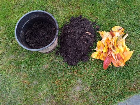 Príprava pôdy na jeseň - hnojenie kompostom