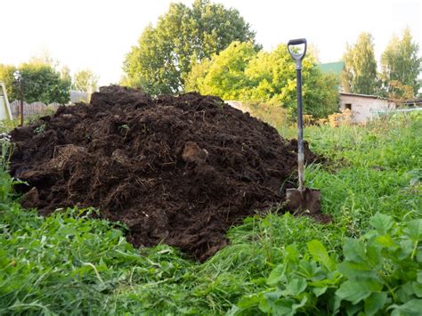 Rôzne typy organických hnojív (kompost, hnoj, drevený popol)