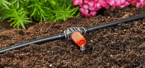 Schéma fungovania kvapkovej závlahy: znázornenie rozvodu vody od zdroja cez hlavnú hadicu až ku kvapkovačom pri koreňoch rastlín.