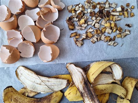 Koláž fotografií prírodných hnojív (banánové šupky, kávová usadenina, vaječné škrupiny)