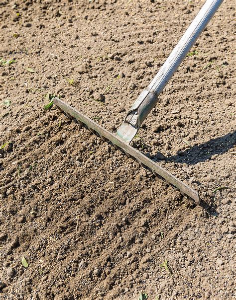 Zobrazenie zapracovania kompostu do pôdy pomocou hrablí