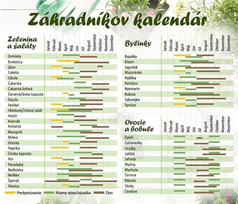 infografika znázorňujúca kalendár zberu rôznych častí rastlín (korene, listy, kvety) počas roka