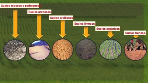 Ilustračné foto rôznych typov pôdy (piesčitá, hlinitá, ílovitá)