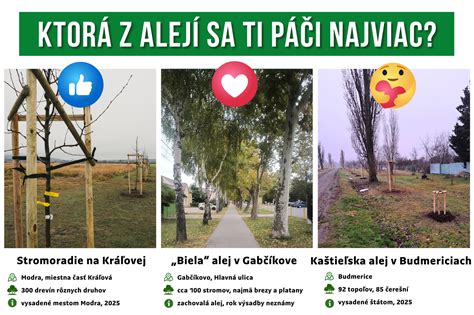 mapa alebo schéma miestnej komunitnej výsadby stromov v mestskom prostredí