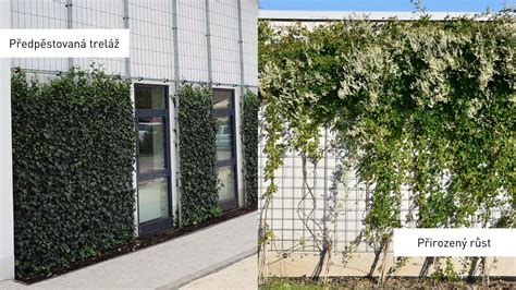 Schéma rôznych typov opôr pre popínavé rastliny: treláže, lanká a pergoly.