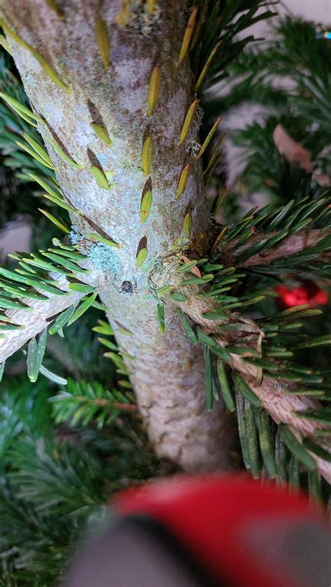 Detail 3D a 2D ihličia na umelom vianočnom stromčeku, zdôrazňujúci realistickosť