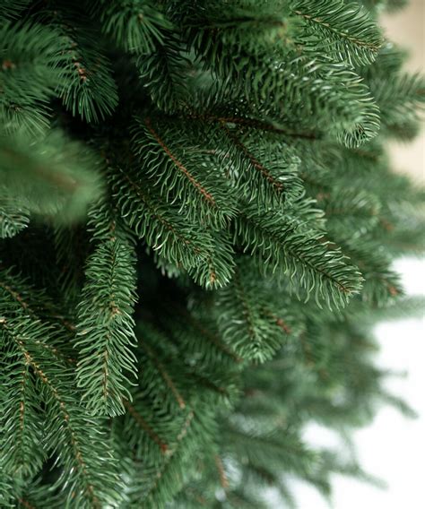 Ilustrácia vianočného stromčeka Jedľa Lux 180 cm s uvedenými rozmermi