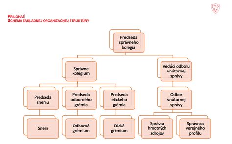 Schéma štruktúry hlávky kapusty s vyznačením vrstiev listov a vnútorného hlúbu
