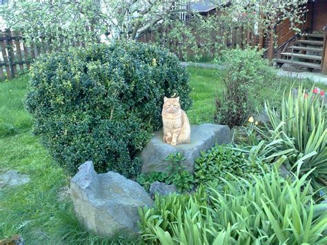 Tematické foto: spokojní zákazníci v krásnej záhrade