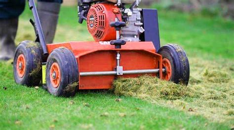 Ilustračná fotografia trávnika pred a po aplikácii vertikutačného mixu