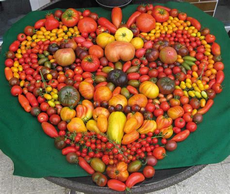 aranžmán z čerstvých paradajok a rôznych jedál z nich
