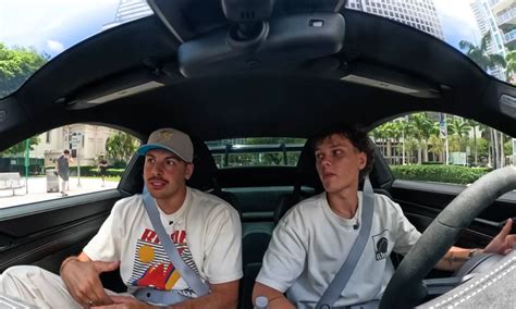 Ilustrácia rôznych druhov brez s ich charakteristickými znakmi