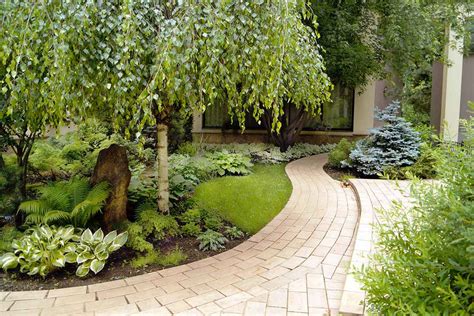 Záhrada s brezou previsnutou ako dominantným prvkom