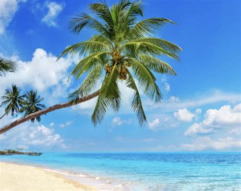 Infografika s postupom zateplenia a elektroinštalácie v drevenom záhradnom domčeku