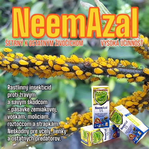 Ilustrácia jednotlivých fáz pestovania húb: príprava substrátu, inkubácia, rast a zber.