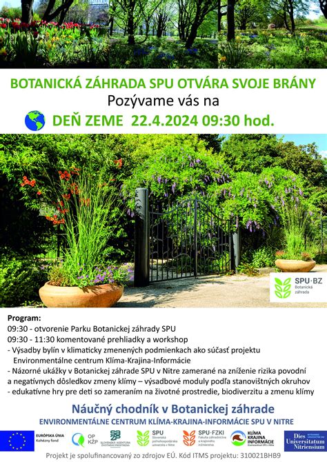 Nádoba s mätou zasadená do zeme v záhrade