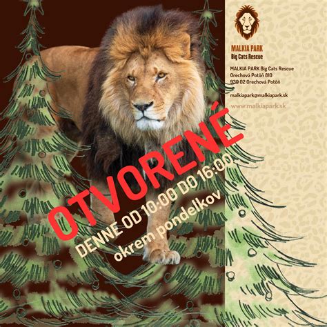 ilustračná fotografia zdravého zmiešaného lesa, ktorý sa obnovuje prirodzeným spôsobom
