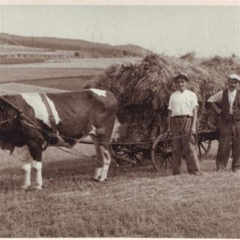 Ilustračná fotografia rotačného kultivátora pri práci na poli