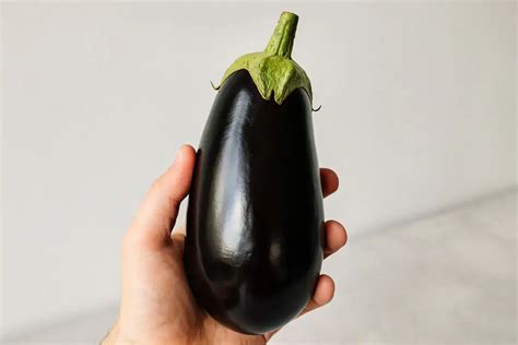 Fotografia zrelých plodov baklažánu na rastline.