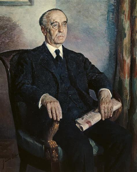 Schéma koreňových systémov jednoročných a vytrvalých burín