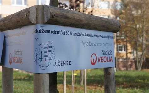 Detailná schéma vertikálnej výsadby jahôd pomocou PVC trubiek, s vyznačenými otvormi, závlahovým systémom a substrátom.