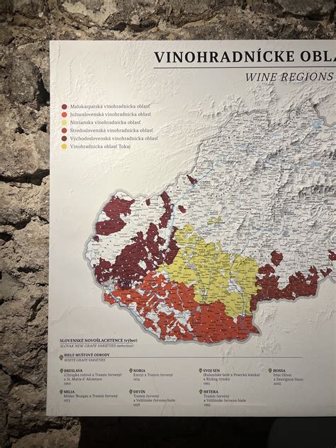 Schéma viacstupňového čistenia vinárskych hadíc