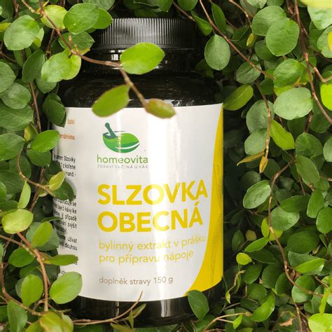Semeno slzovky obecnej