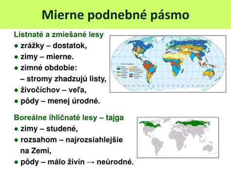 Mapa rozšírenia lesných biómov na Zemi so zameraním na mierne pásmo