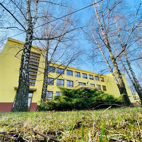 ilustrácia zberu kvetov divozela za slnečného dňa