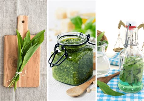 Záber na čerstvé listy medvedieho cesnaku v lese alebo na kuchynskej doske