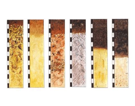 Kolekcia rôznych typov hnojív a pôdnych kondicionérov