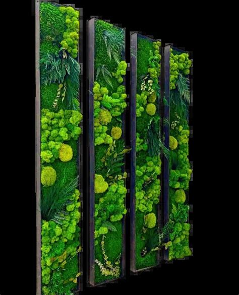 Ilustrácia rôznych typov pestovateľských boxov (stanov) s rastlinami vo vnútri.