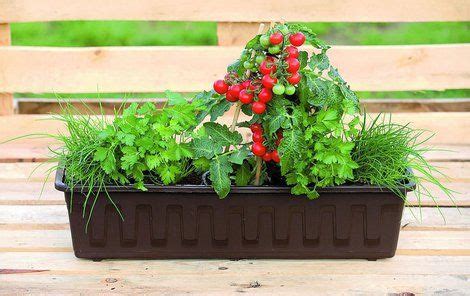 Balkón plný kvetináčov s bylinkami, paradajkami a jahodami.